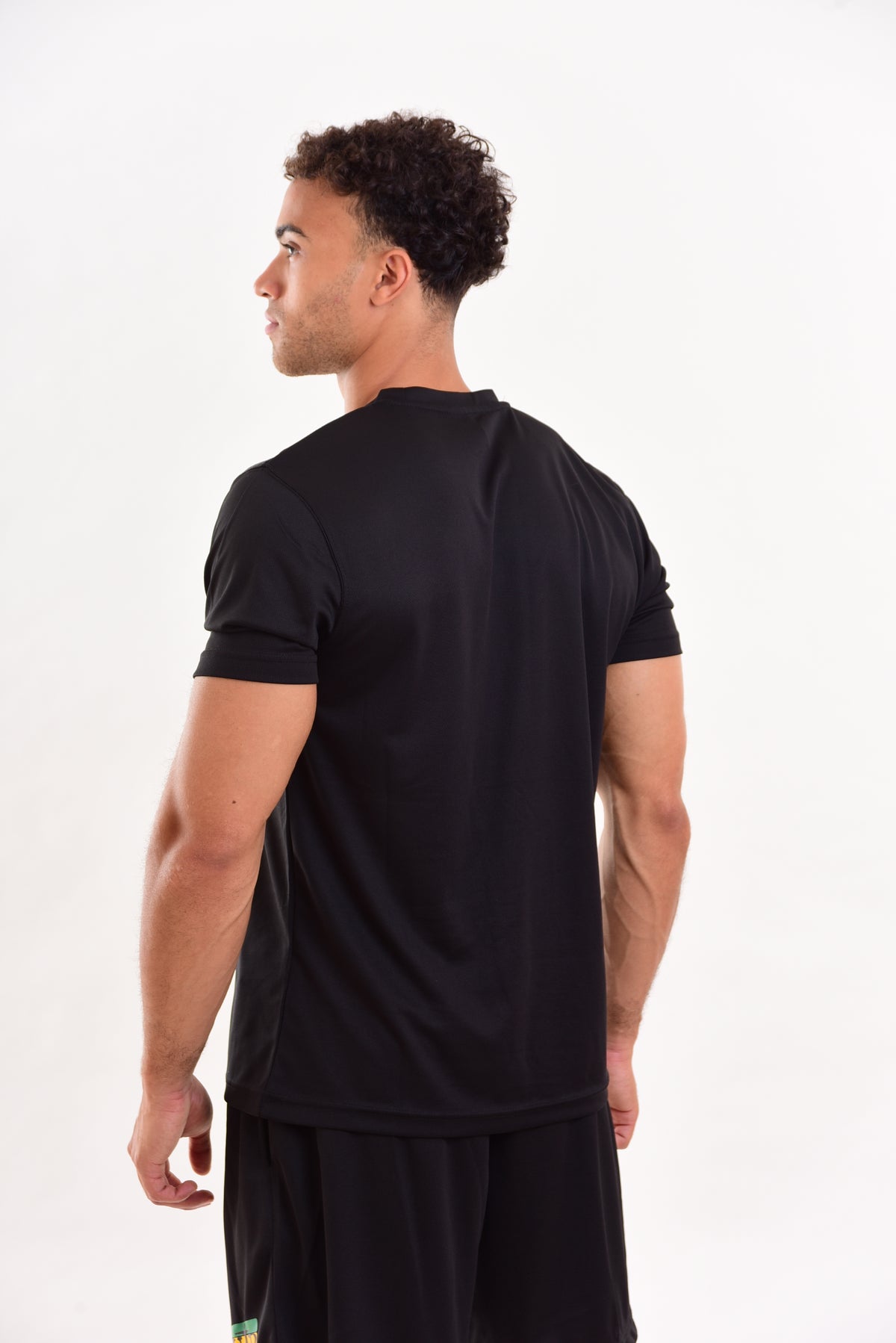 Red Gold Green Mens Polyester T-Shirt