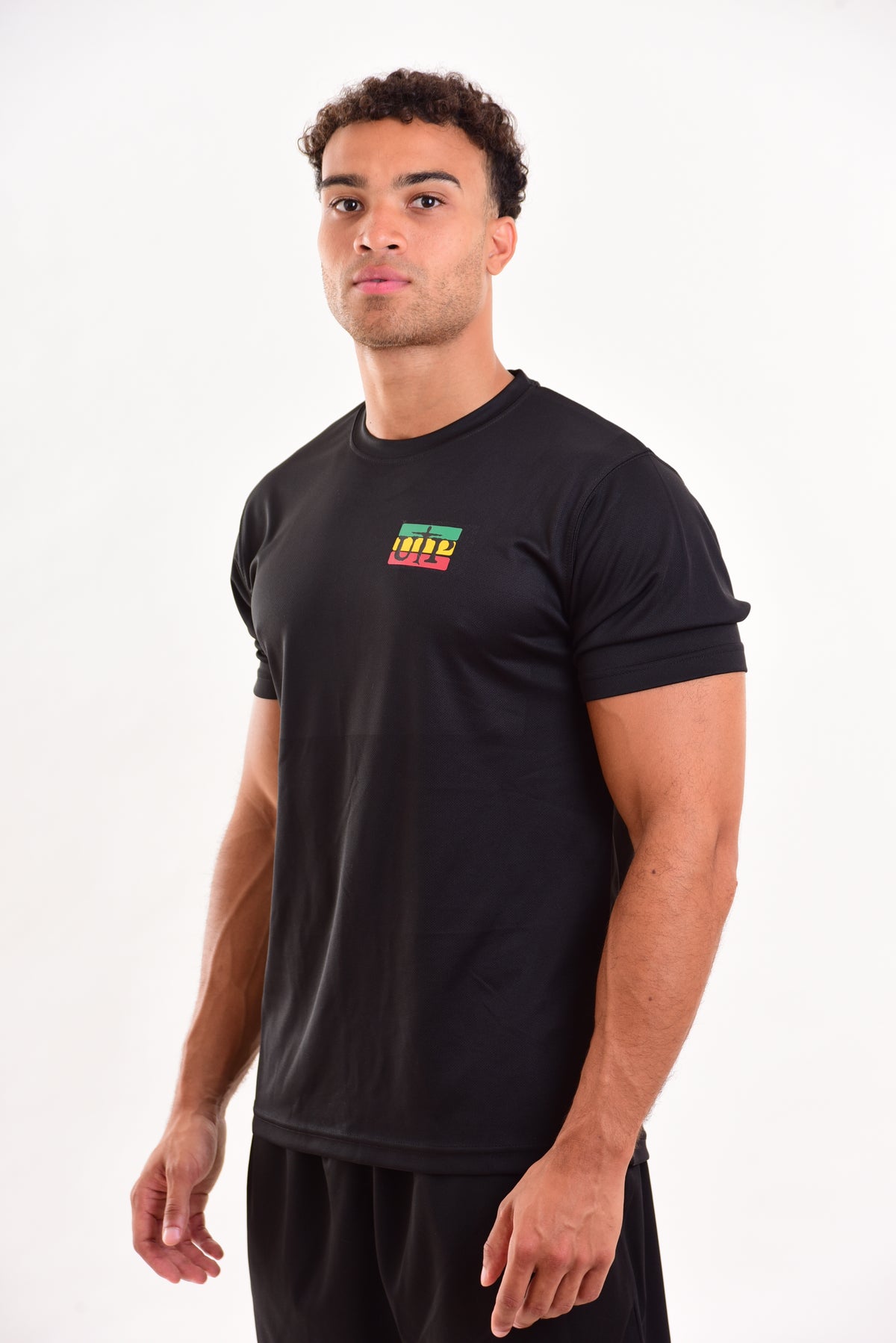 Red Gold Green Mens Polyester T-Shirt